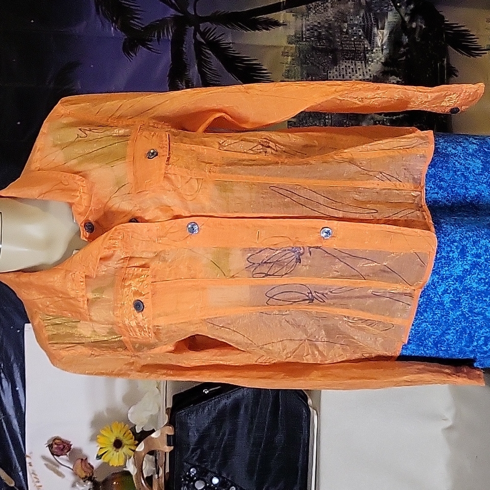 Sheer jacket - Picture 1 of 3